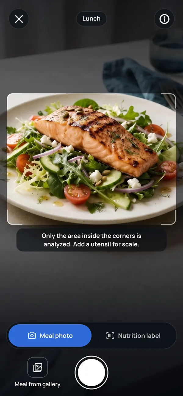 The CamCalo camera screen with a salmon salad inside the frame.