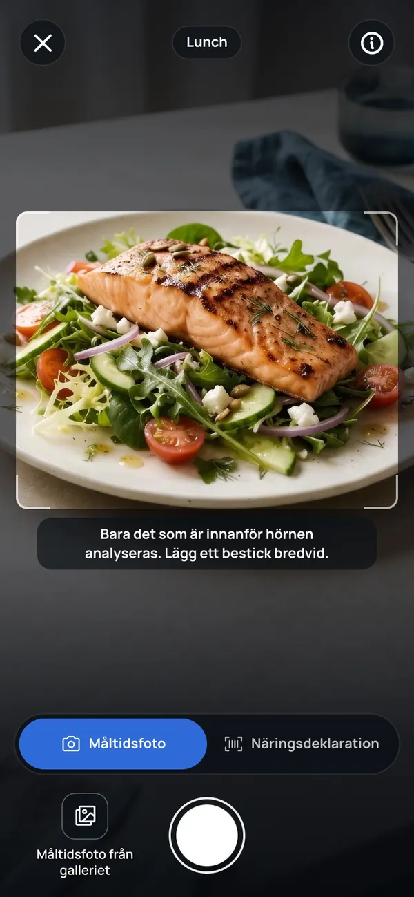 CamCalos kameraskärm med en laxsallad inom ramen.